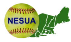 Northeast Softball Umpire Association
